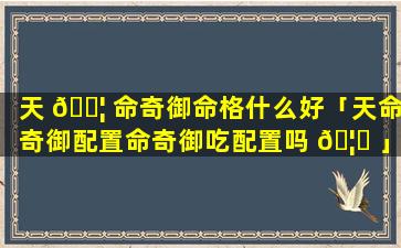 天 🐦 命奇御命格什么好「天命奇御配置命奇御吃配置吗 🦍 」